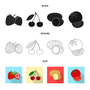 蔬菜水果符号的矢量设计。蔬菜和素食的集合向量例证