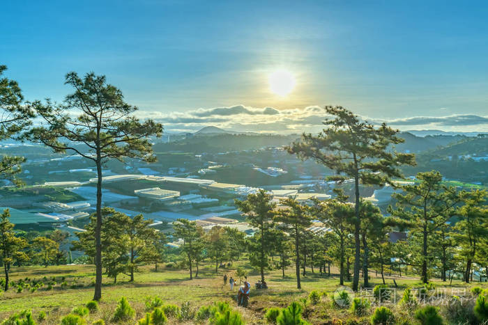 日出在高原上,当太阳醒来到山下的松林,和平地迎接新的一天.
