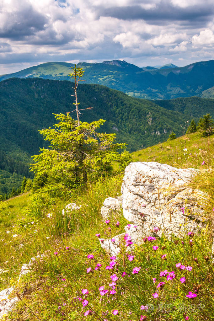 春天的景观有华丽的草地和山峰,蓝天的背景是云.