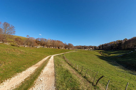 莱西尼亚ValleDelleSfingiVenetoVerona意大利欧洲区域自然公园的乡村道路，绿色草地，用于放牧和岩溶岩