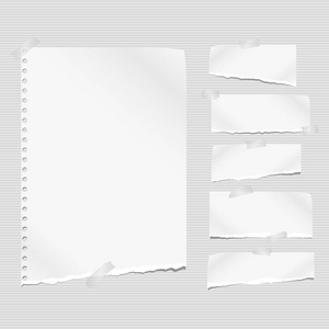 白色撕破的笔记本纸, 撕破的笔记纸条卡在灰色衬里的背景。向量例证