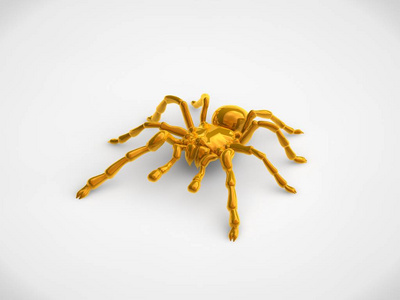 巨型蜈蚣金色巨型蜘蛛狼蛛白色背景. 3d渲染照片