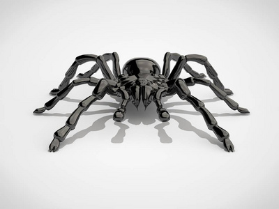 白色背景上的黑色巨型蜘蛛狼蛛反光皮革. 3d渲染照片