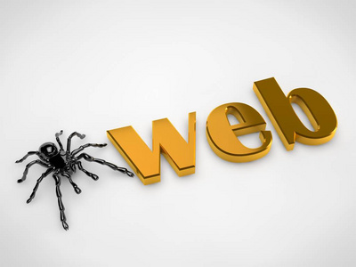 黑色巨型蜘蛛狼蛛网反射白色背景上的皮肤。 3D渲染