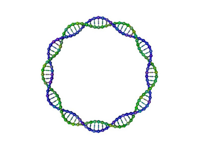 DNA链以圆圈的形式存在。 孤立在白色背景上。 三维渲染插图。