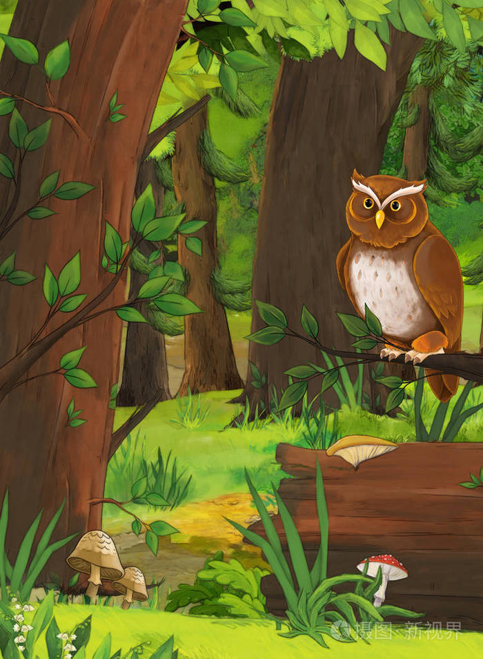 卡通夏季场景森林深处猫头鹰无人现场儿童插图