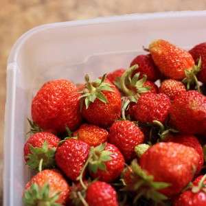 草莓在盒子里