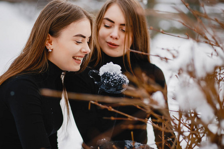 可爱的女孩在冬天的公园里散步。姐妹们，玩雪吧