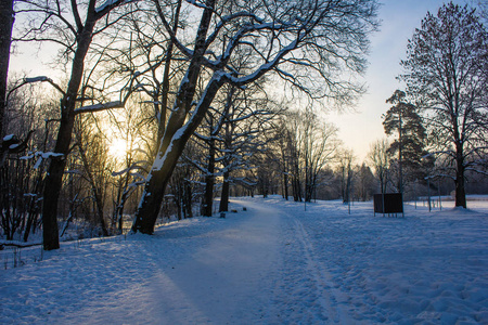 晴朗天气下的冬季景观。 日落时霜冻的日光