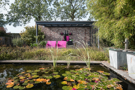 在荷兰美丽的秋天花园里，两把粉红色的椅子放在一个悬垂的池塘下，享受阳光
