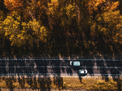 秋季无人驾驶飞机在穿过森林的道路上的两辆白色汽车的鸟瞰图，直接在上面
