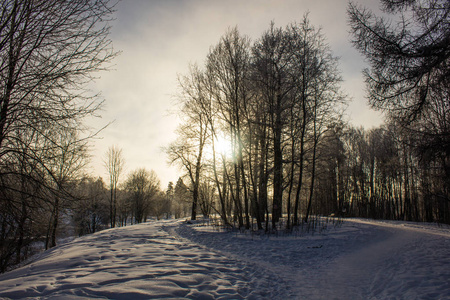 晴朗天气下的冬季景观。 日落时霜冻的日光