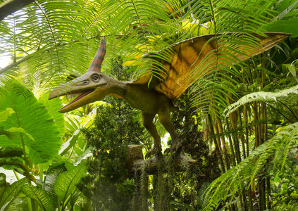 郁郁葱葱的绿色植物中悬挂的翼龙雕塑照片