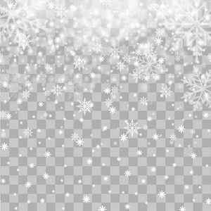 在圣诞节或新年的透明背景下飘落的雪花。向量