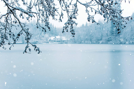 冰雪森林中的冰冻湖泊