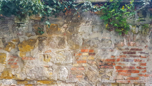 石砖墙壁纸背景纹理与绿叶和阳光。接近旧的黄砖