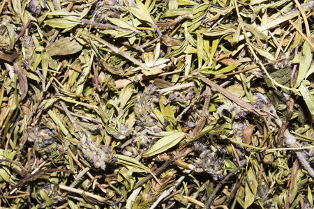 干百里香。百里香的背景，用于冲泡茶。百里香草是一种药用植物。