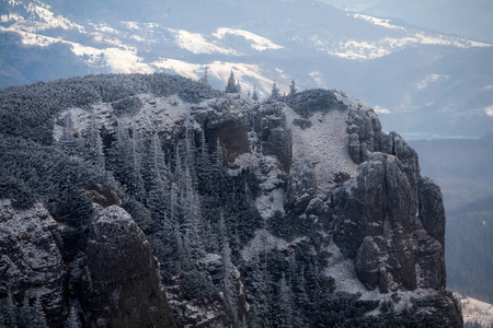 圣诞节和新年背景，山上有冬天的树，覆盖着新鲜的雪魔法节日背景