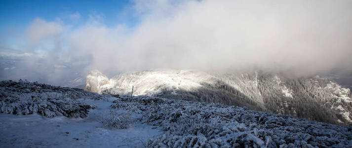 雪杉树在雾中的群山中神奇的节日背景