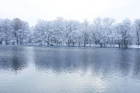 美丽的冬天公园，有冰湖