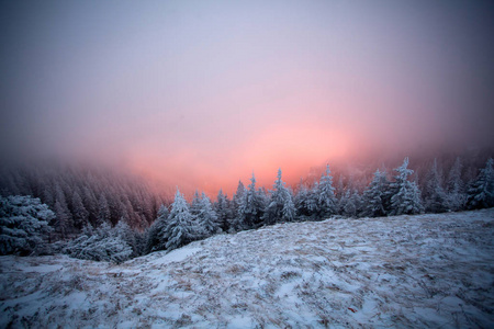 奇妙的黎明冬季景观，日出雾和雪