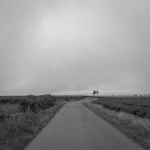 无路可走图片大全