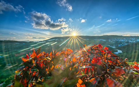 山顶太阳早晨,太阳从山顶升起,太阳耀斑,迎接美丽的新一天花盆照片