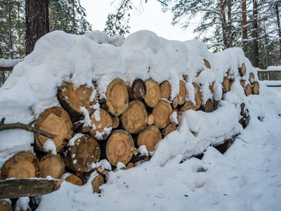 俄罗斯新西伯利亚，雪下堆放的柴火