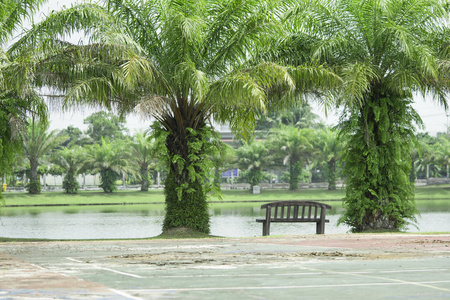 公园或花园里的游泳池长椅，在假期里锻炼和放松
