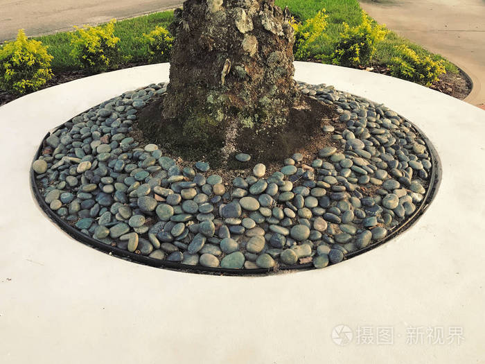 树照片周围的石头