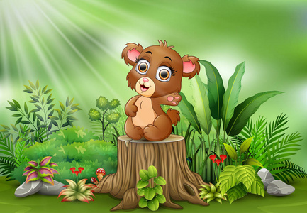 卡通宝宝棕熊坐在树桩上，长满了绿色植物