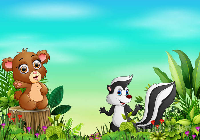 大自然的景象,熊坐在树桩和浣熊上