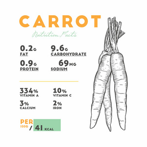 生胡萝卜的营养事实。 手绘草图矢量。