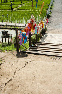  Lantern  tradition handcraft