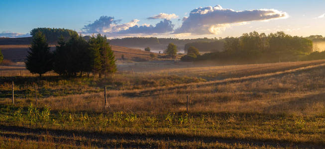 阳光明媚的早晨，田野和草地的风景