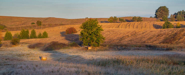 阳光明媚的早晨，田野和草地的风景