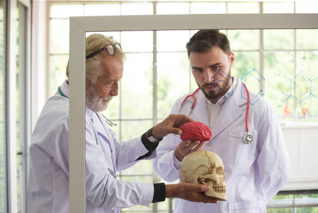 有人类头骨的医生。老医生向年轻医生解释了生理知识。