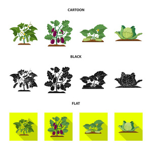 温室和植物图标的孤立对象。一套温室和花园矢量图标的股票