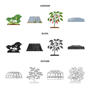 温室和植物图标的向量例证。网站的温室和花园股票符号收集