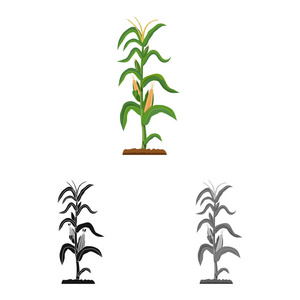 温室和植物图标的矢量设计。一套温室和花园矢量图标的股票