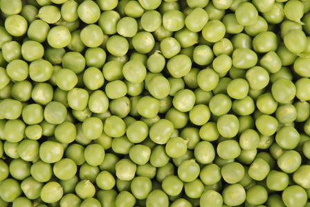 豌豆绿色食品农业新鲜质地照片