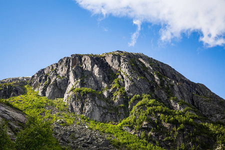 美丽的夏季景观，Folgeonna国家公园挪威