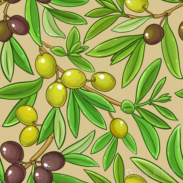 彩色背景上的橄榄矢量图案