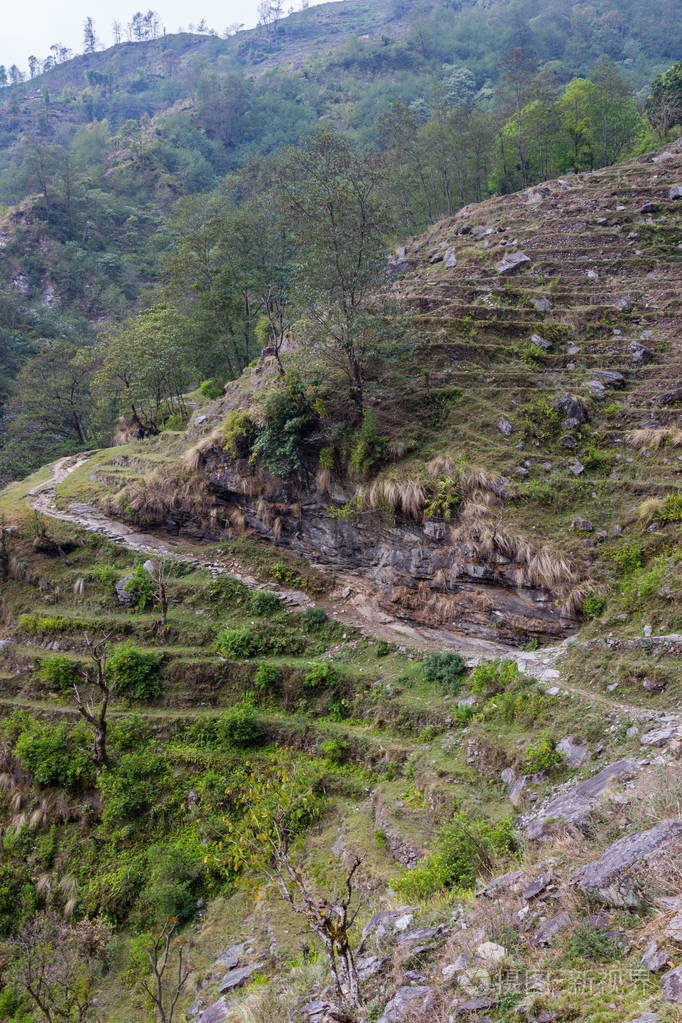 尼泊尔村庄的田野正在通往喜马拉雅山大本营