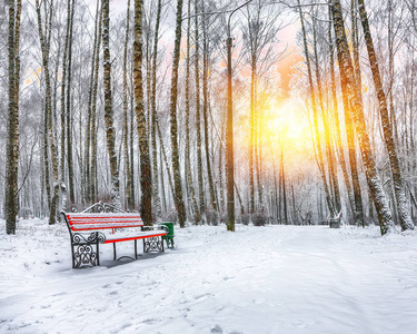 公园长凳和被大雪覆盖的树木。 很多雪。 日落时间