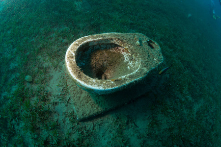 海底的厕所图片