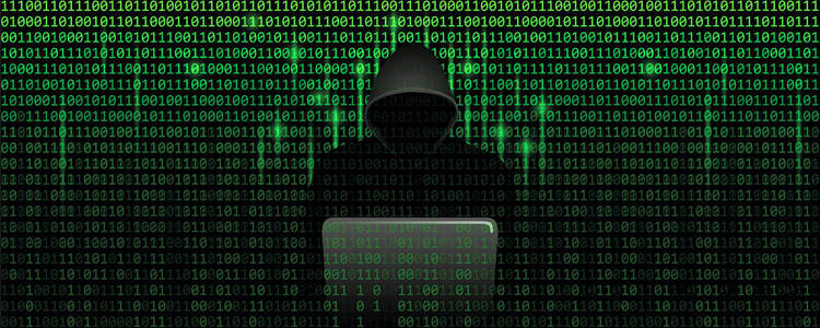 基于二进制代码 web 背景的矩阵网络犯罪概念中的计算机黑客