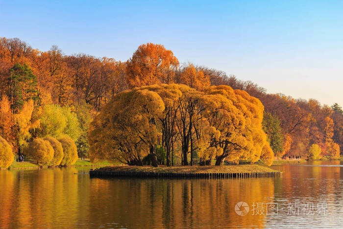 阳光明媚的秋日,岸边有金色叶子的池塘和树木的景色