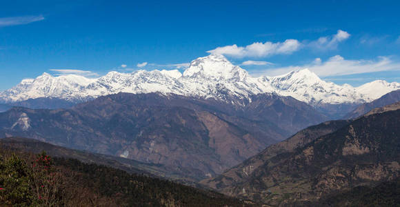 美丽的喜马拉雅山被雪覆盖，追踪到安纳普尔纳大本营