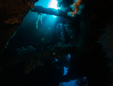 印度尼西亚巴厘岛海底沉船水下拍摄